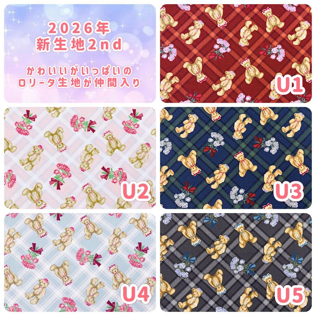 入学 入園 グッズ セット ハンドメイド オーダー ♡ 女の子 ♡ ゆめかわ 画像3