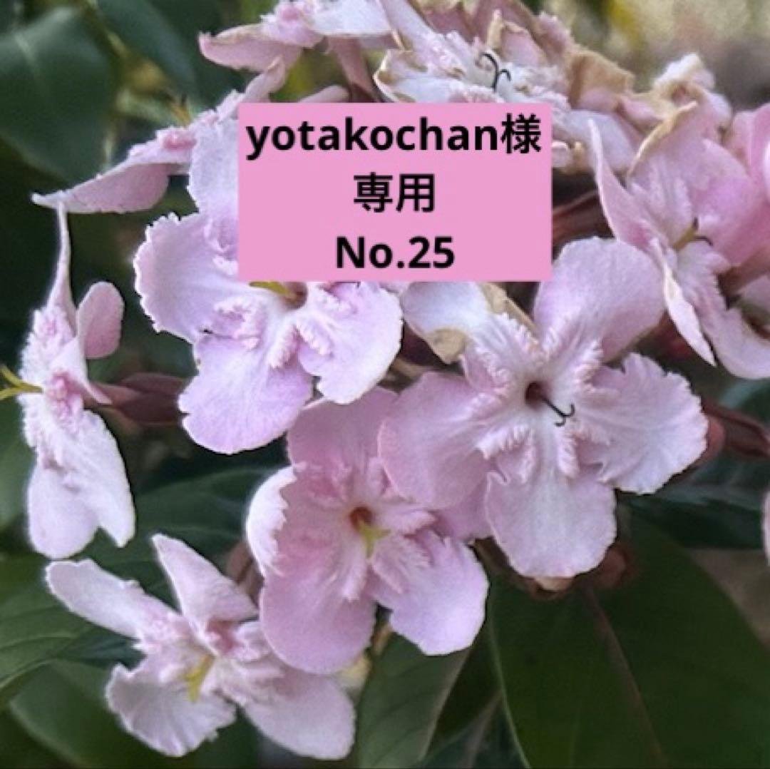 yotakochan様専用No.25 =9枚